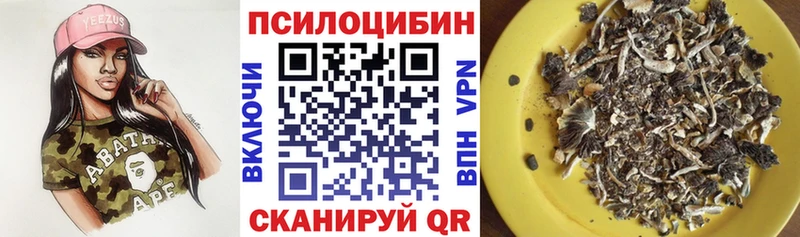 Псилоцибиновые грибы Psilocybe  Купить  Северская 