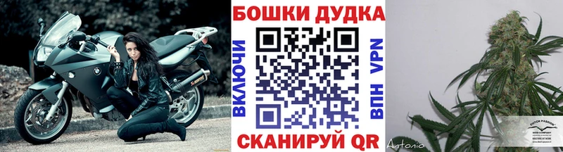 Бошки Шишки план  Купить где  Северская 